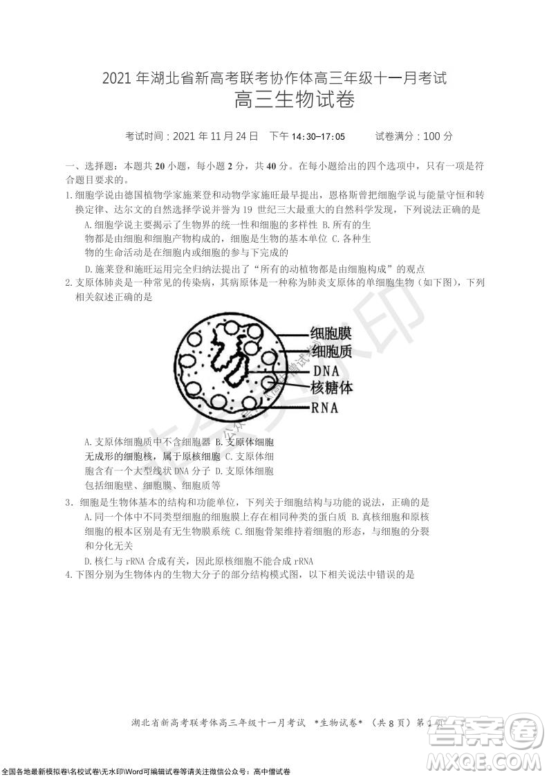 2021年湖北省新高考協(xié)作體高三年級十一月考試生物試題及答案