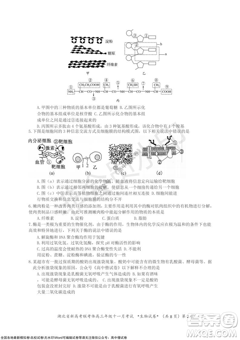 2021年湖北省新高考協(xié)作體高三年級十一月考試生物試題及答案