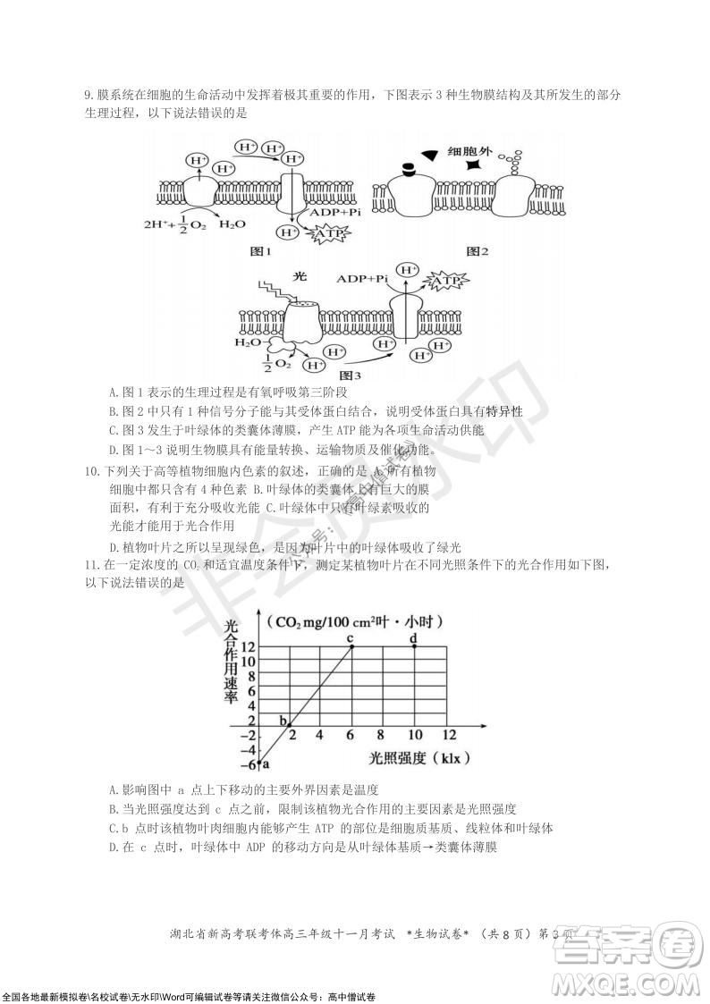 2021年湖北省新高考協(xié)作體高三年級十一月考試生物試題及答案