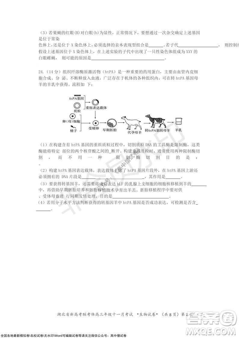 2021年湖北省新高考協(xié)作體高三年級十一月考試生物試題及答案