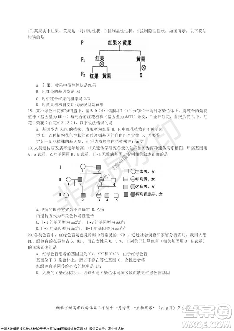 2021年湖北省新高考協(xié)作體高三年級十一月考試生物試題及答案