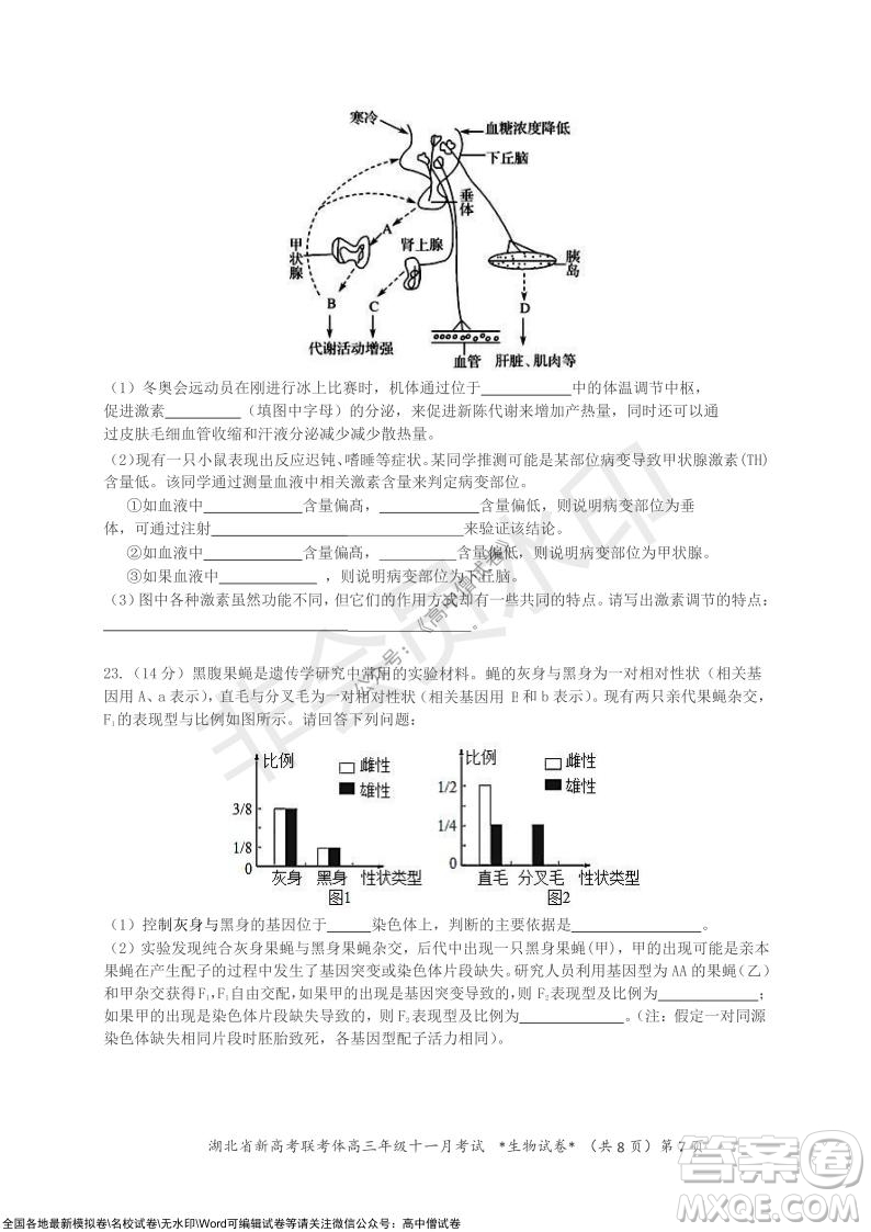 2021年湖北省新高考協(xié)作體高三年級十一月考試生物試題及答案