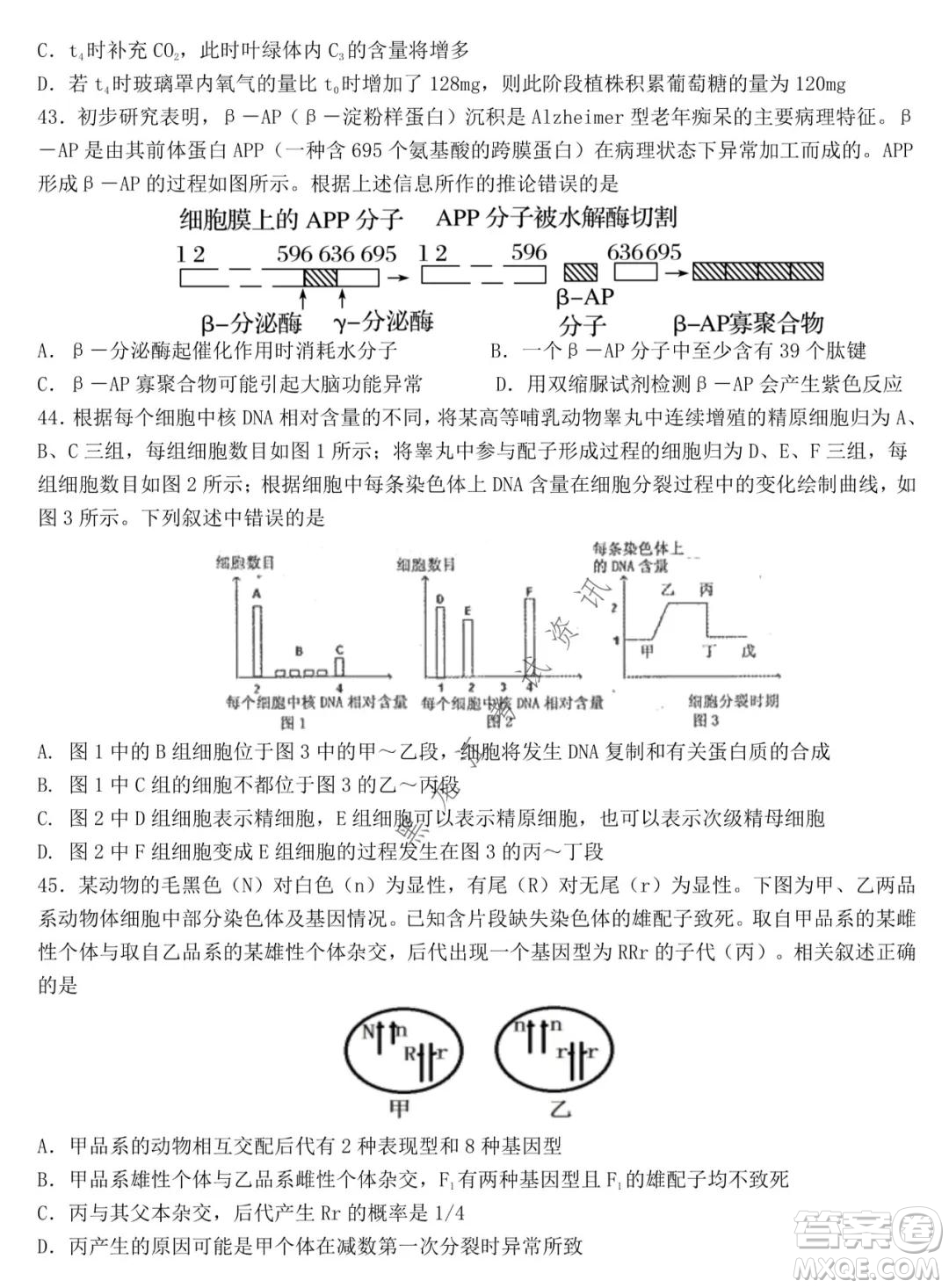 哈爾濱市第九中學2021-2022學年度上學期期中考試高三生物試題及答案