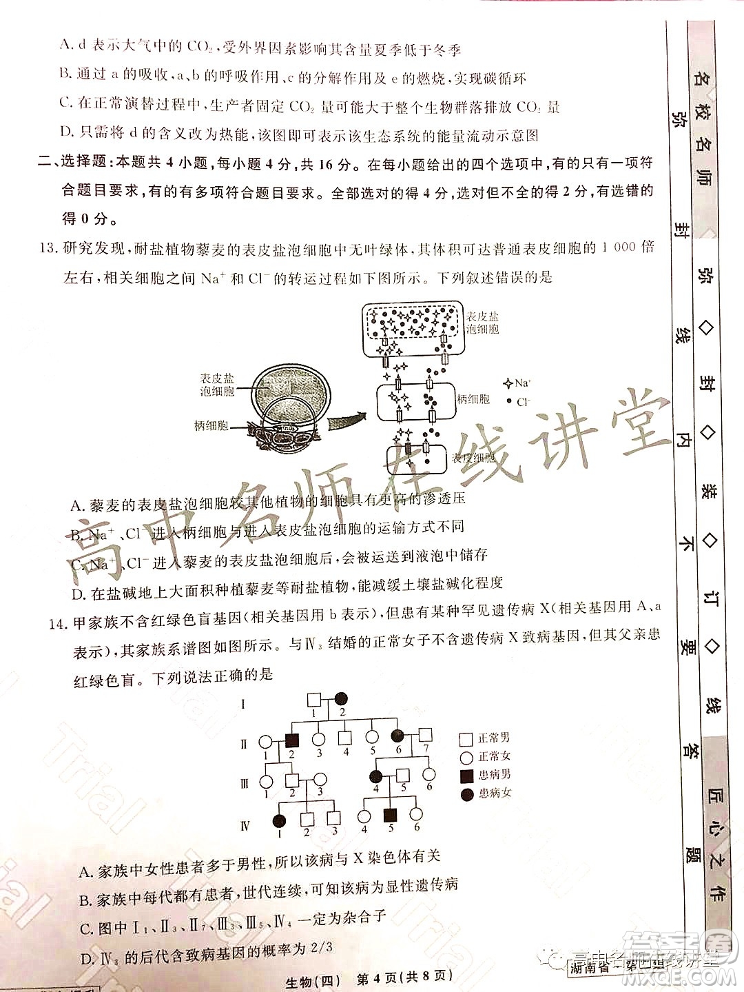 2021-2022學(xué)年度高三分科檢測(cè)提分卷四生物試題及答案