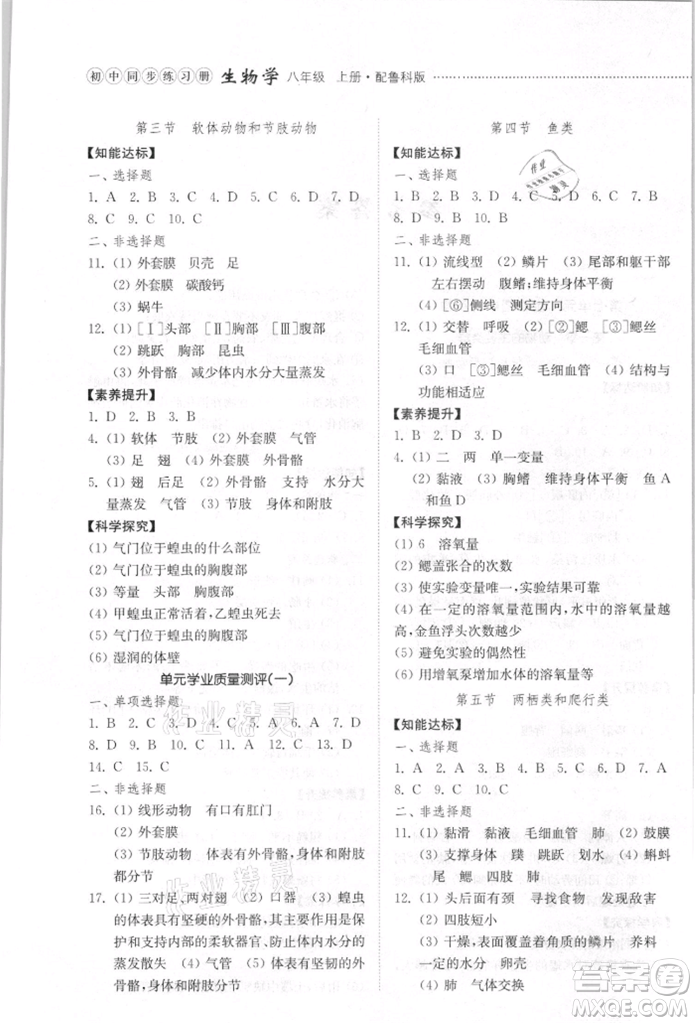 山東教育出版社2021初中同步練習(xí)冊(cè)五四制八年級(jí)生物學(xué)上冊(cè)魯科版參考答案