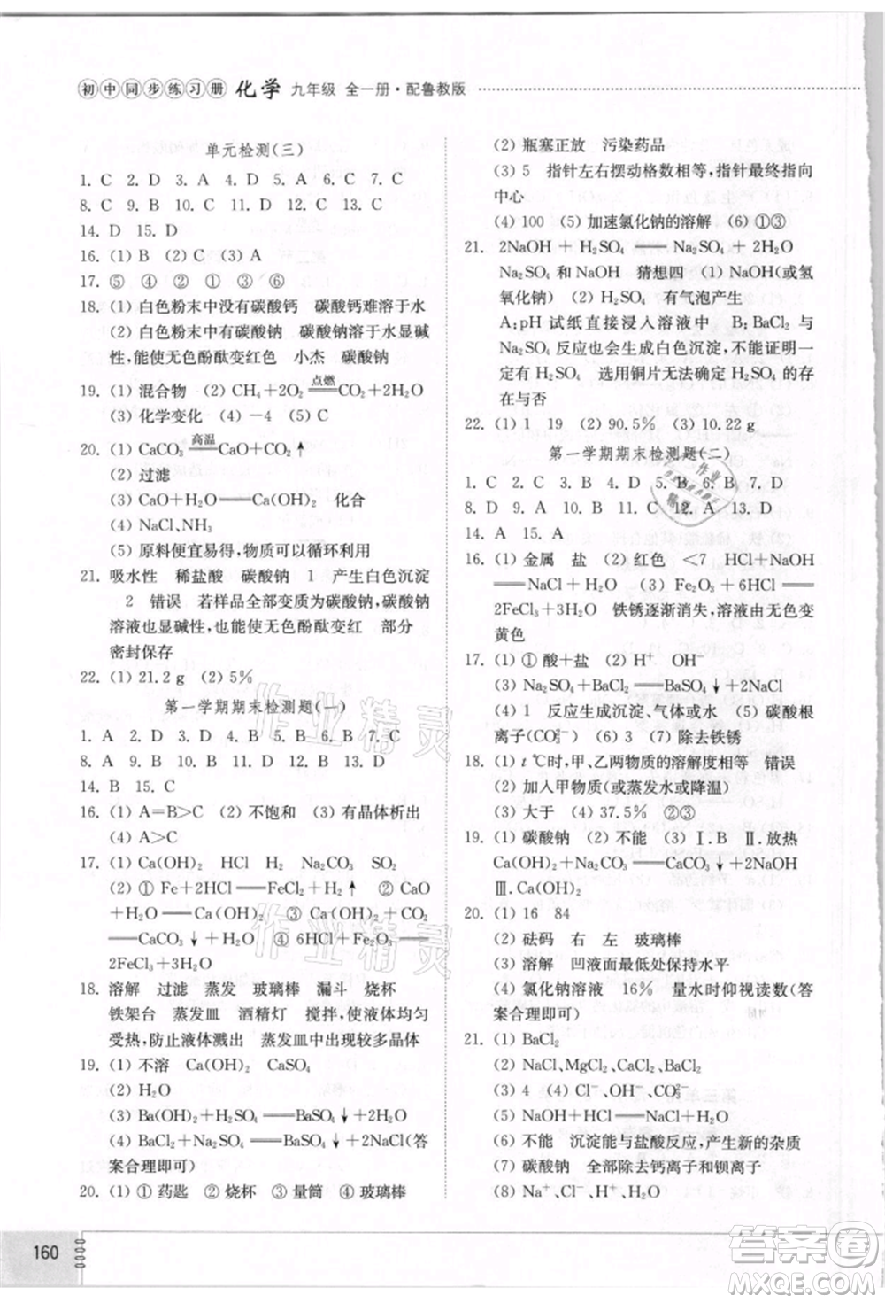 山東教育出版社2021初中同步練習(xí)冊(cè)五四制九年級(jí)化學(xué)魯教版參考答案