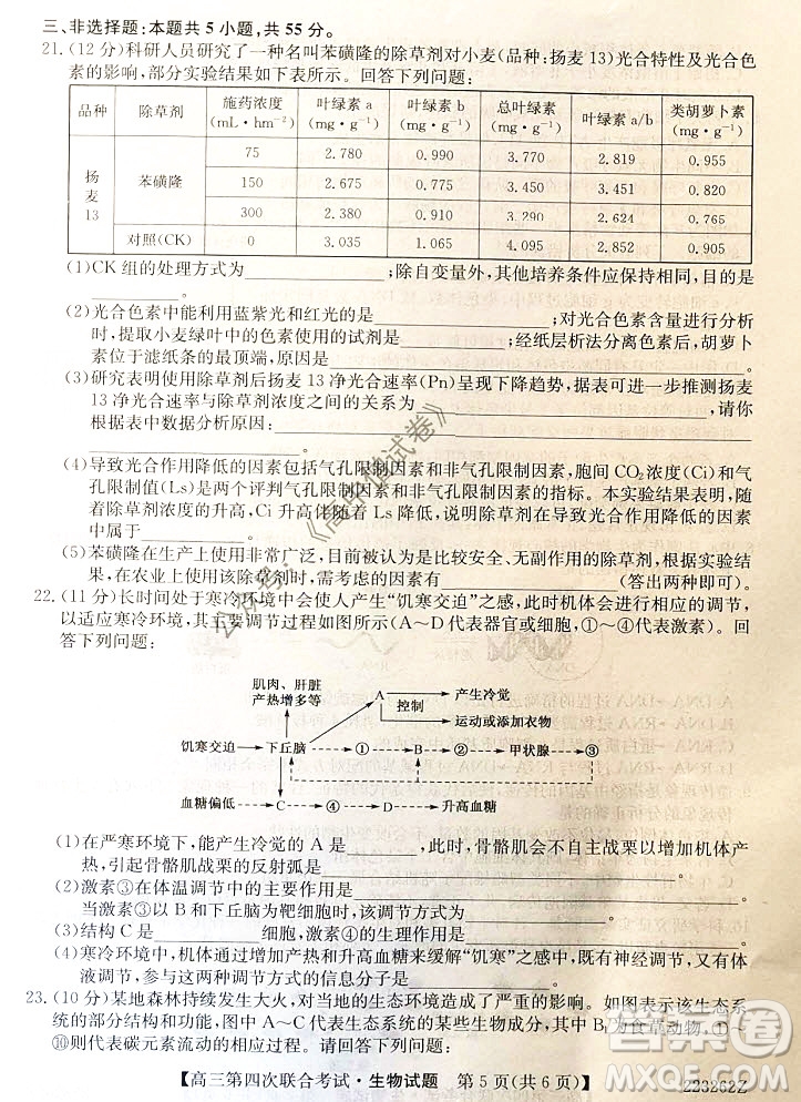 2022屆遼寧省名校高三第四次聯(lián)合考試高三生物試題及答案