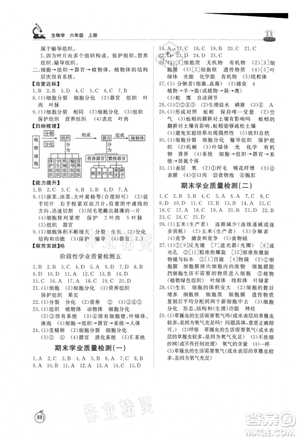 山東友誼出版社2021初中同步練習(xí)冊(cè)五四制六年級(jí)生物上冊(cè)魯科版參考答案