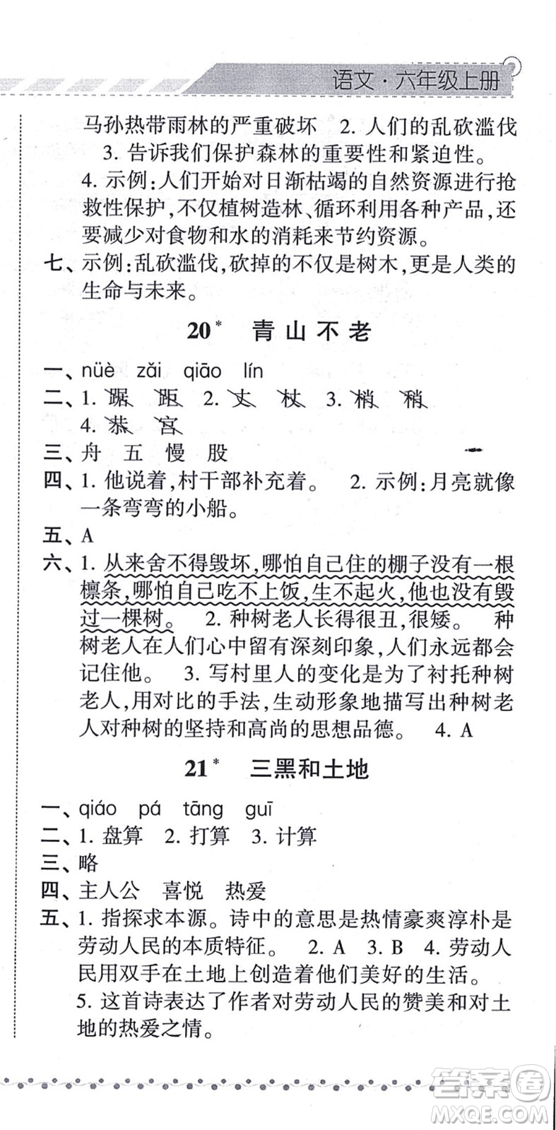 寧夏人民教育出版社2021經(jīng)綸學典課時作業(yè)六年級語文上冊RJ人教版答案