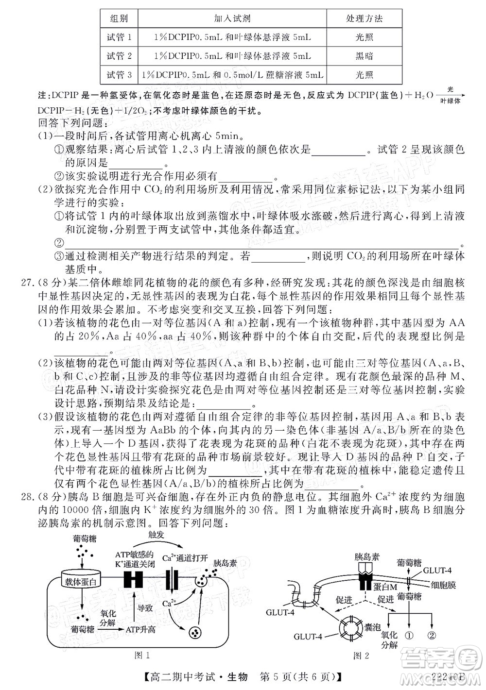 河南頂尖名校聯(lián)盟2021-2022學(xué)年高二上學(xué)期期中考試生物試題及答案