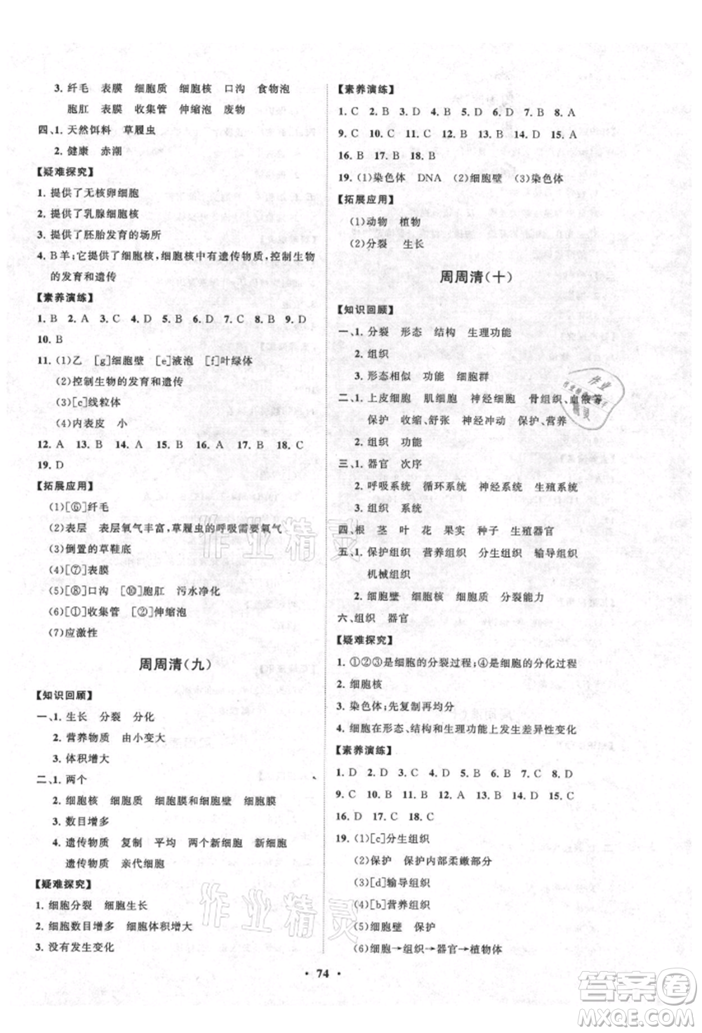 山東教育出版社2021初中同步練習冊分層卷五四制六年級生物上冊魯科版參考答案