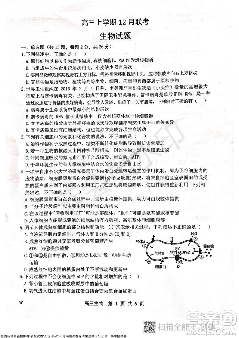 2022屆河北金太陽高三12月聯(lián)考生物試題及答案