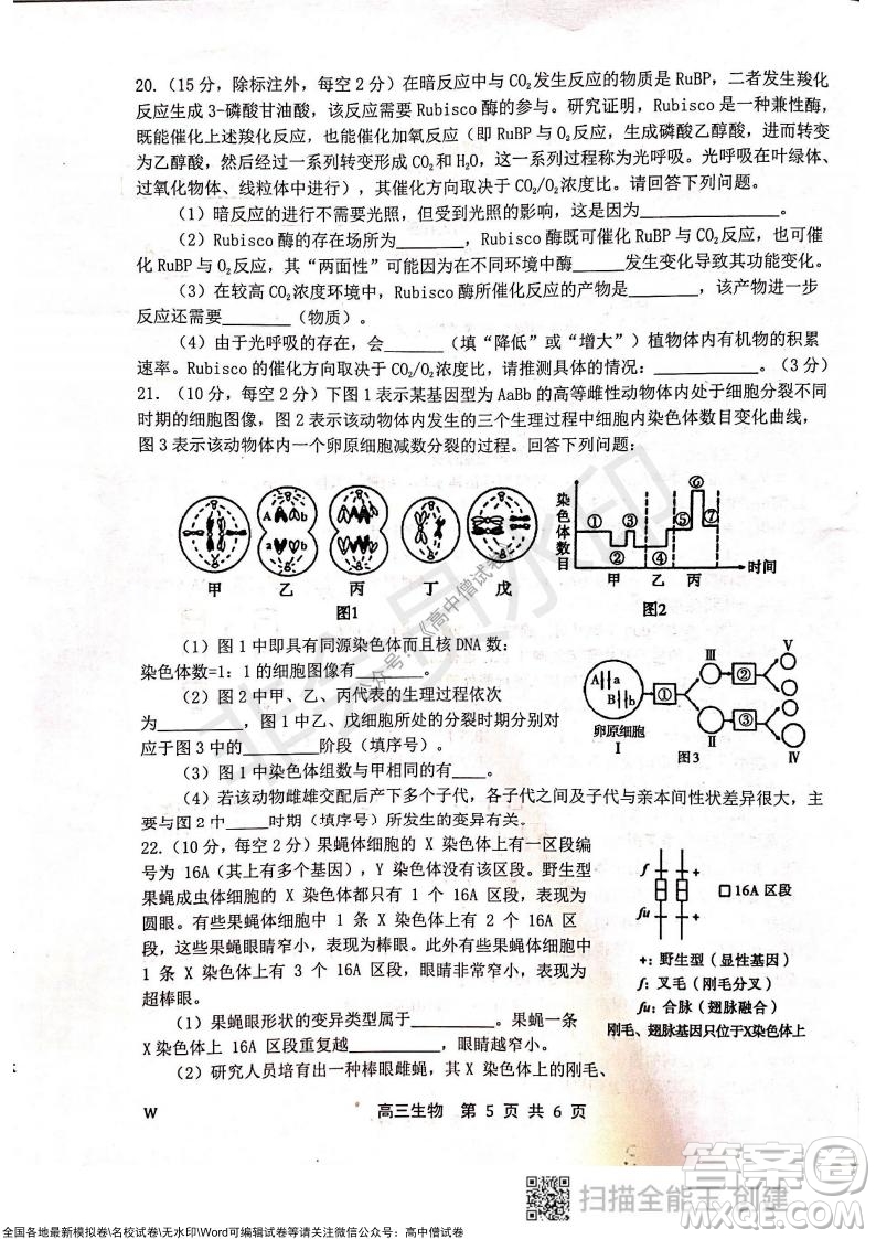 2022屆河北金太陽高三12月聯(lián)考生物試題及答案