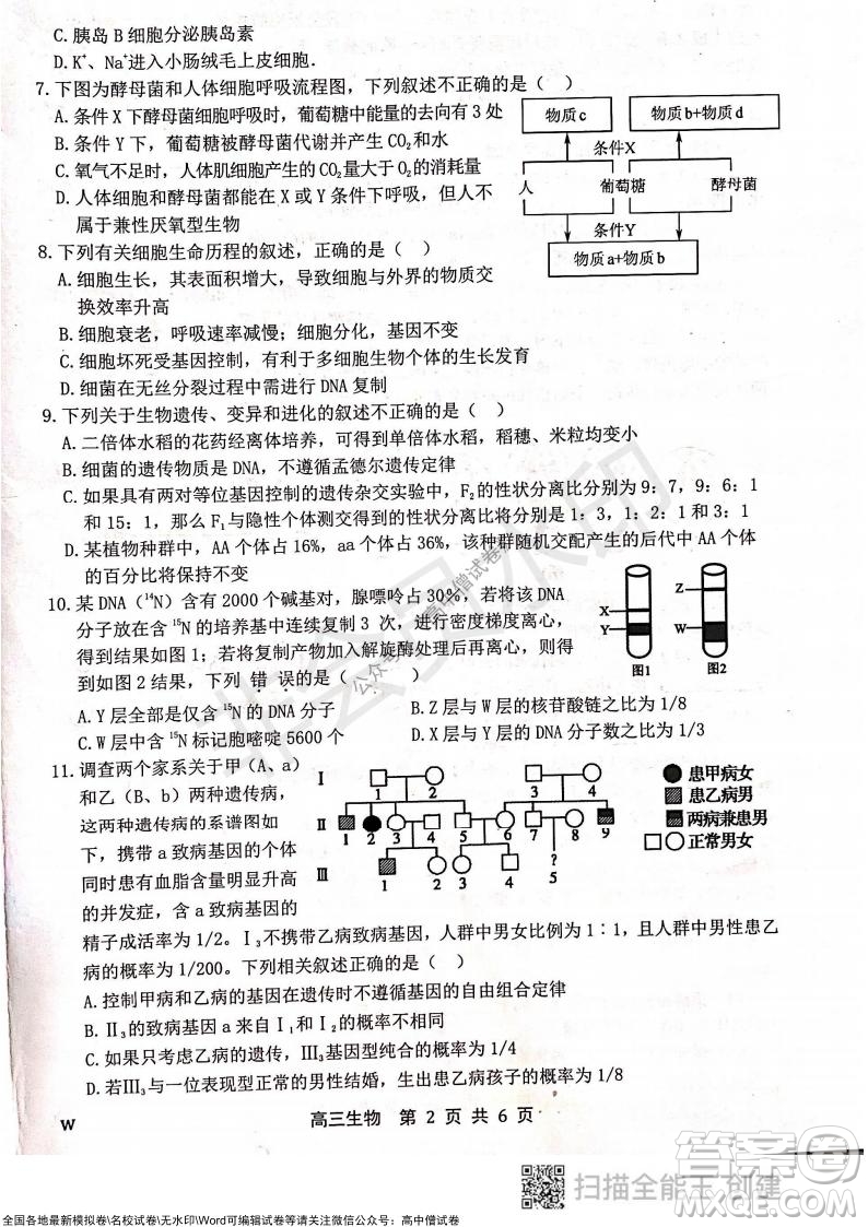 2022屆河北金太陽高三12月聯(lián)考生物試題及答案