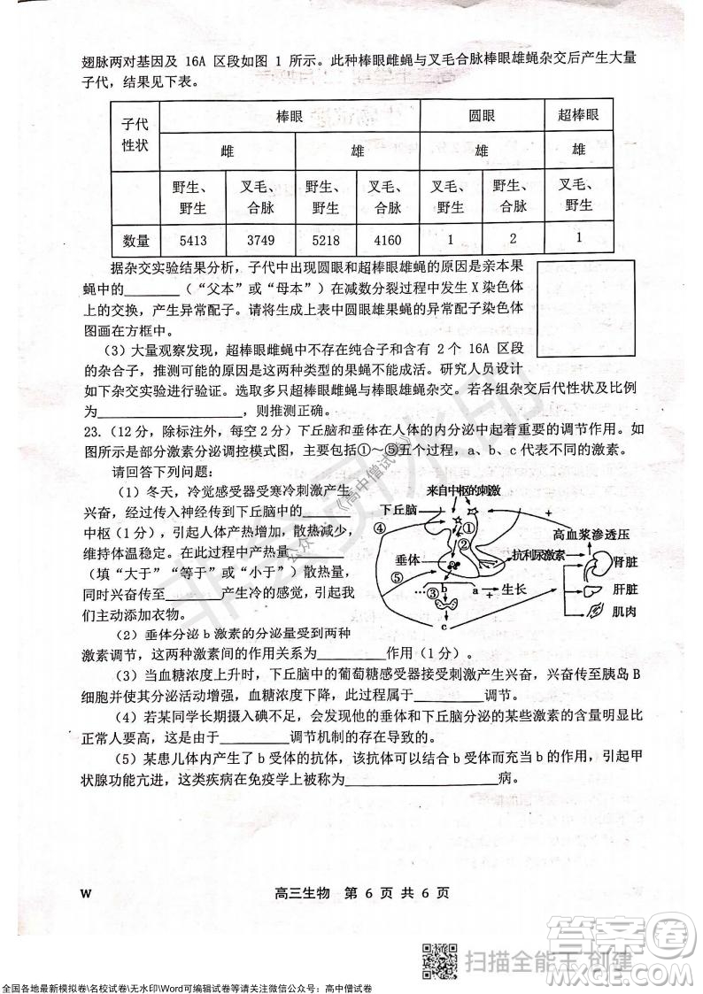 2022屆河北金太陽高三12月聯(lián)考生物試題及答案