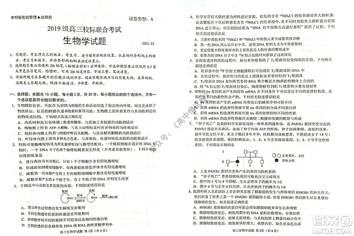 山東日照2019級(jí)高三校級(jí)聯(lián)合考試生物試題及答案