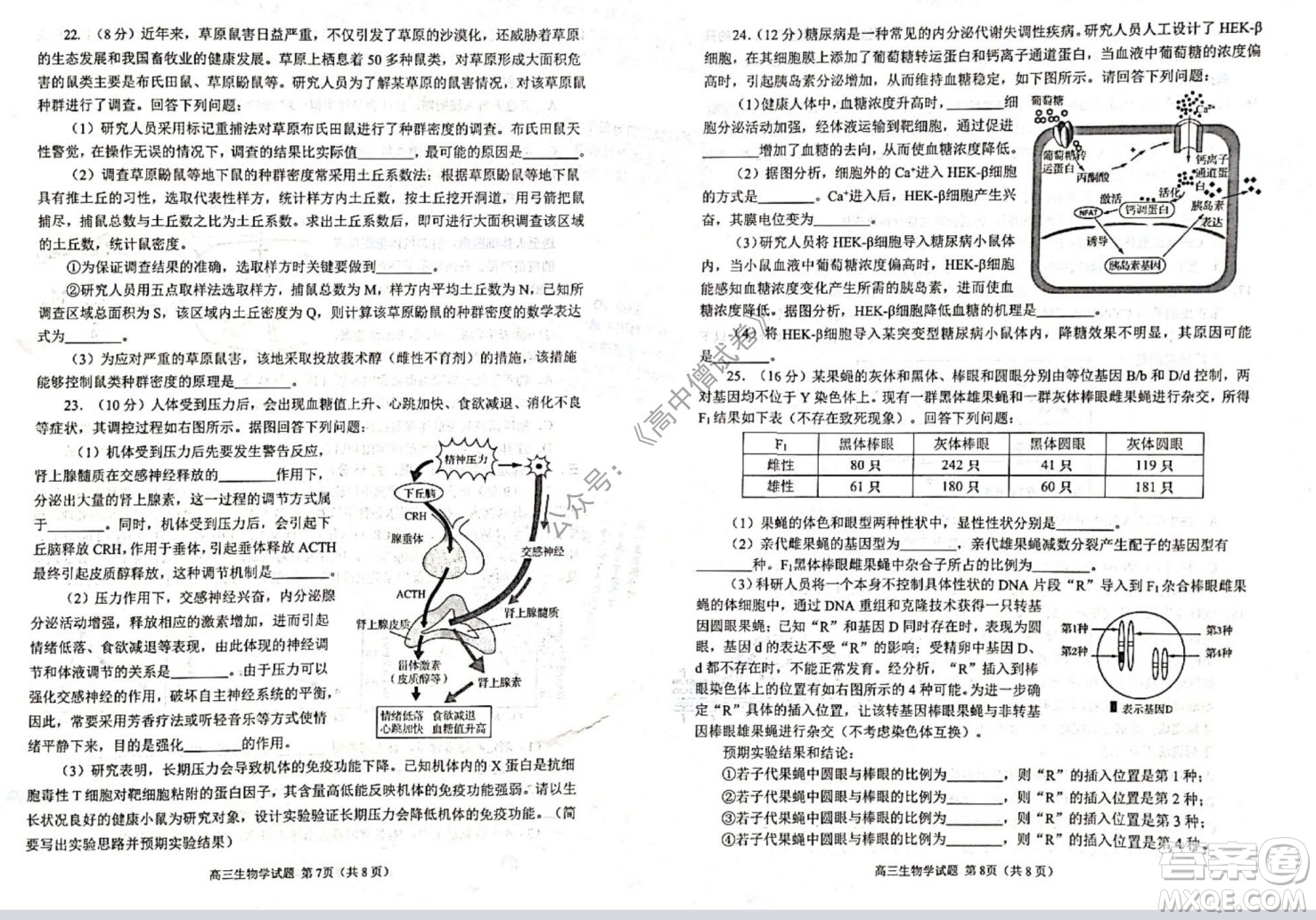 山東日照2019級(jí)高三校級(jí)聯(lián)合考試生物試題及答案