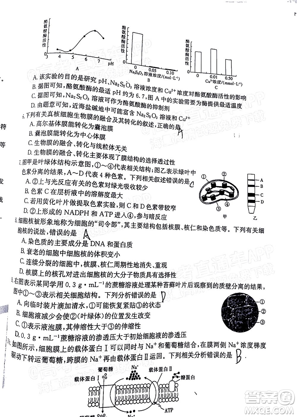 2022屆江西金太陽高三12月聯(lián)考生物試題及答案