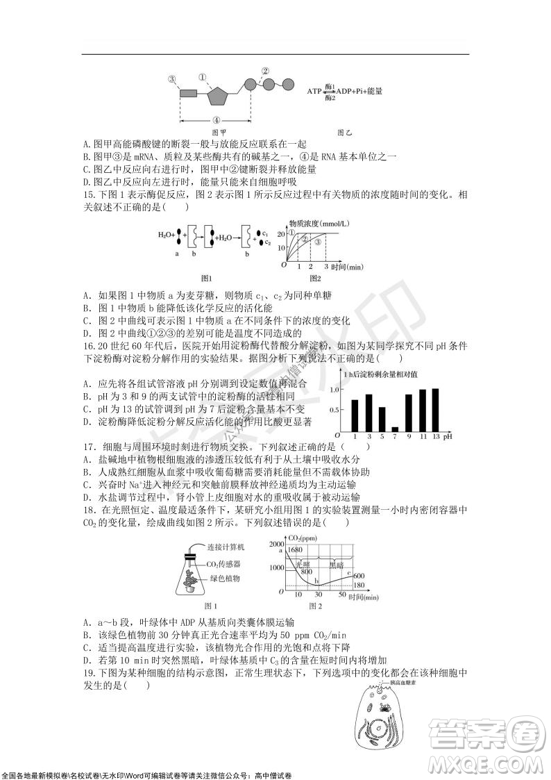 重慶八中2021-2022學(xué)年第一學(xué)期期中考試高三生物試題及答案