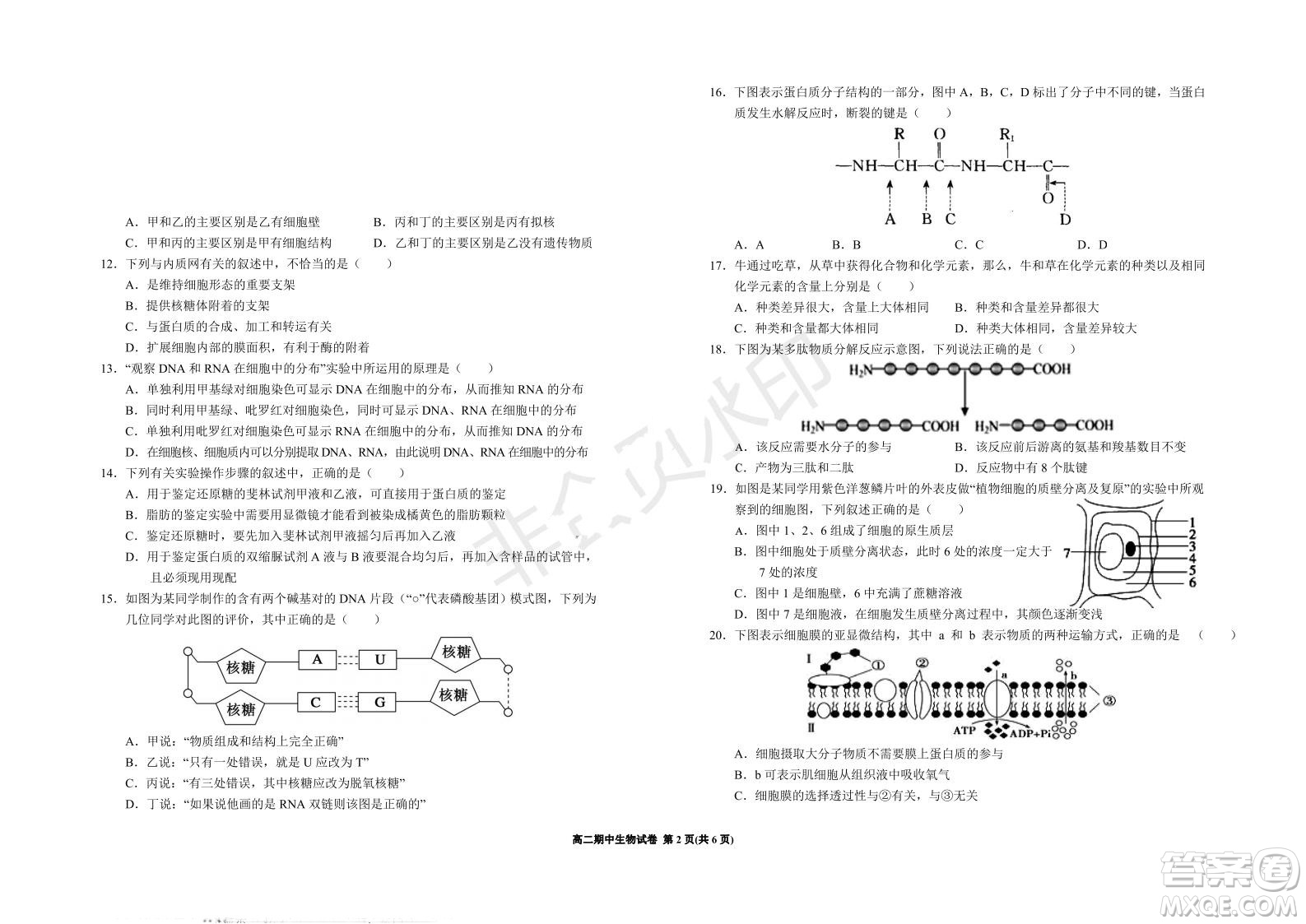 銀川一中2021-2022學年度高二上學期期中考試生物試題及答案