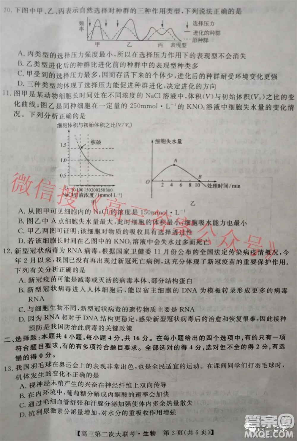 五市十校教研教改共同體2022屆高三第二次大聯(lián)考生物試題及答案