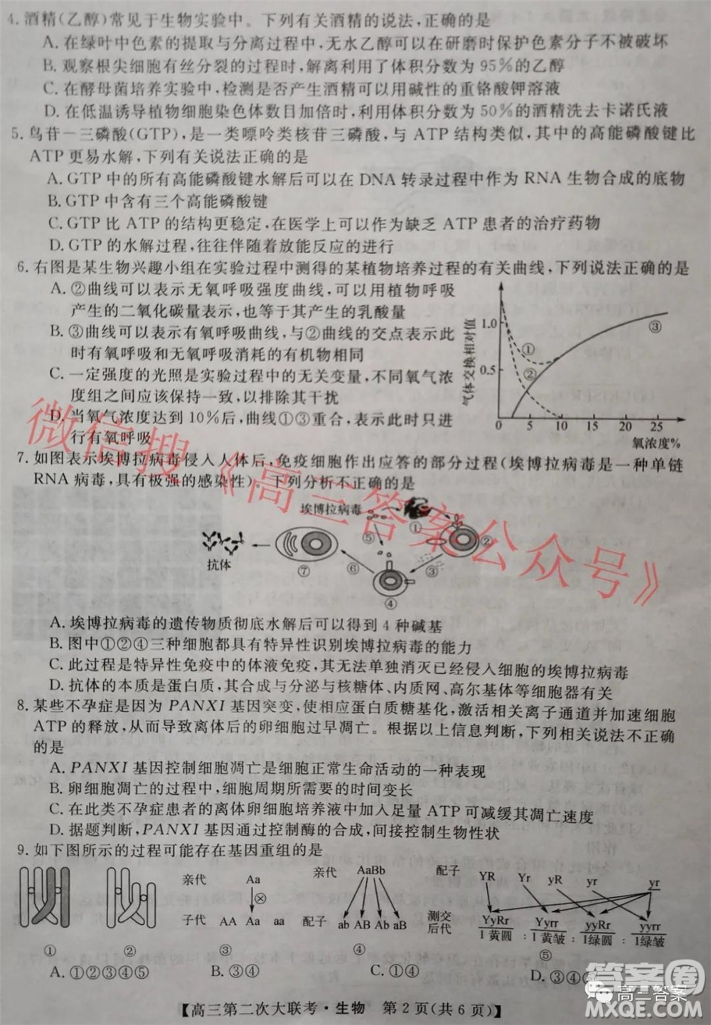 五市十校教研教改共同體2022屆高三第二次大聯(lián)考生物試題及答案