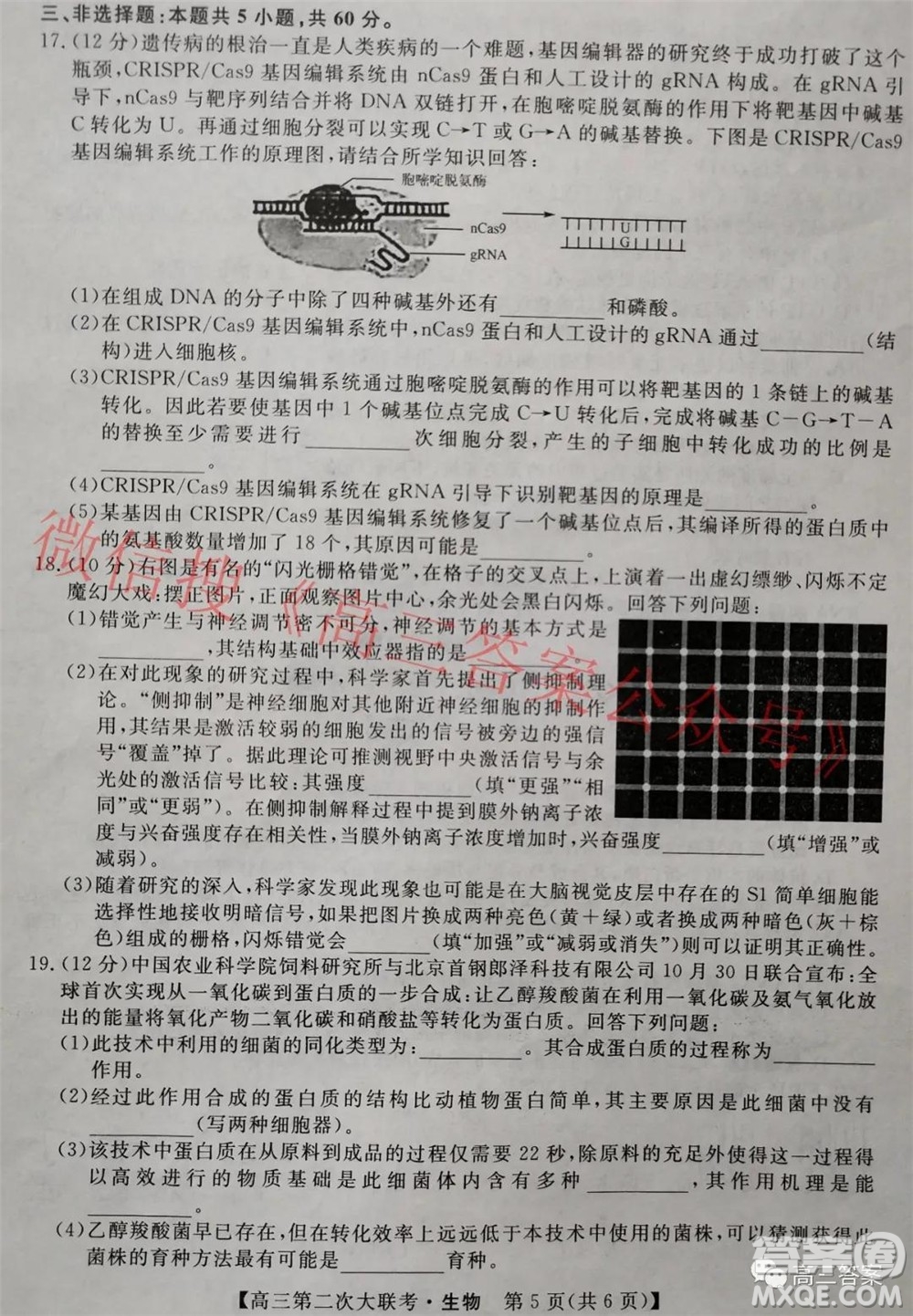 五市十校教研教改共同體2022屆高三第二次大聯(lián)考生物試題及答案