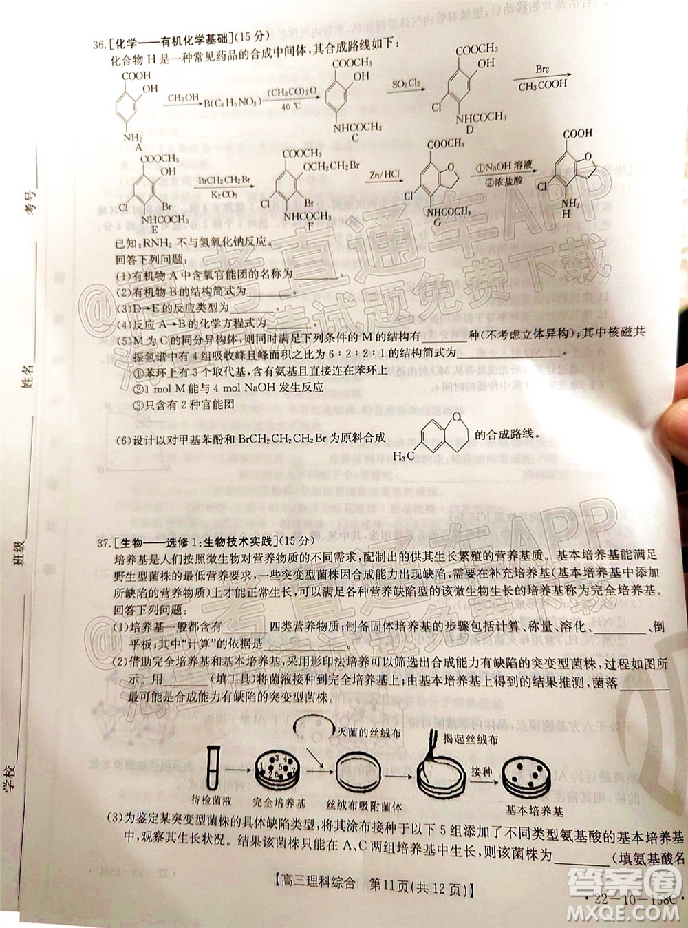 2022屆四川金太陽(yáng)高三12月聯(lián)考理科綜合試題及答案