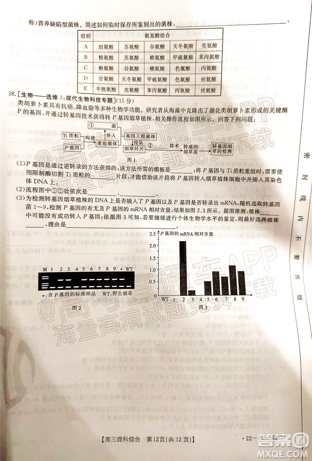 2022屆四川金太陽(yáng)高三12月聯(lián)考理科綜合試題及答案