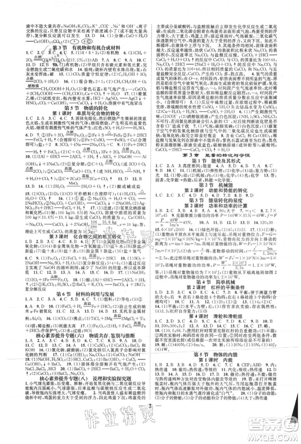 天津科學(xué)技術(shù)出版社2021智慧學(xué)堂核心素養(yǎng)提升法九年級科學(xué)浙教版浙江專版參考答案