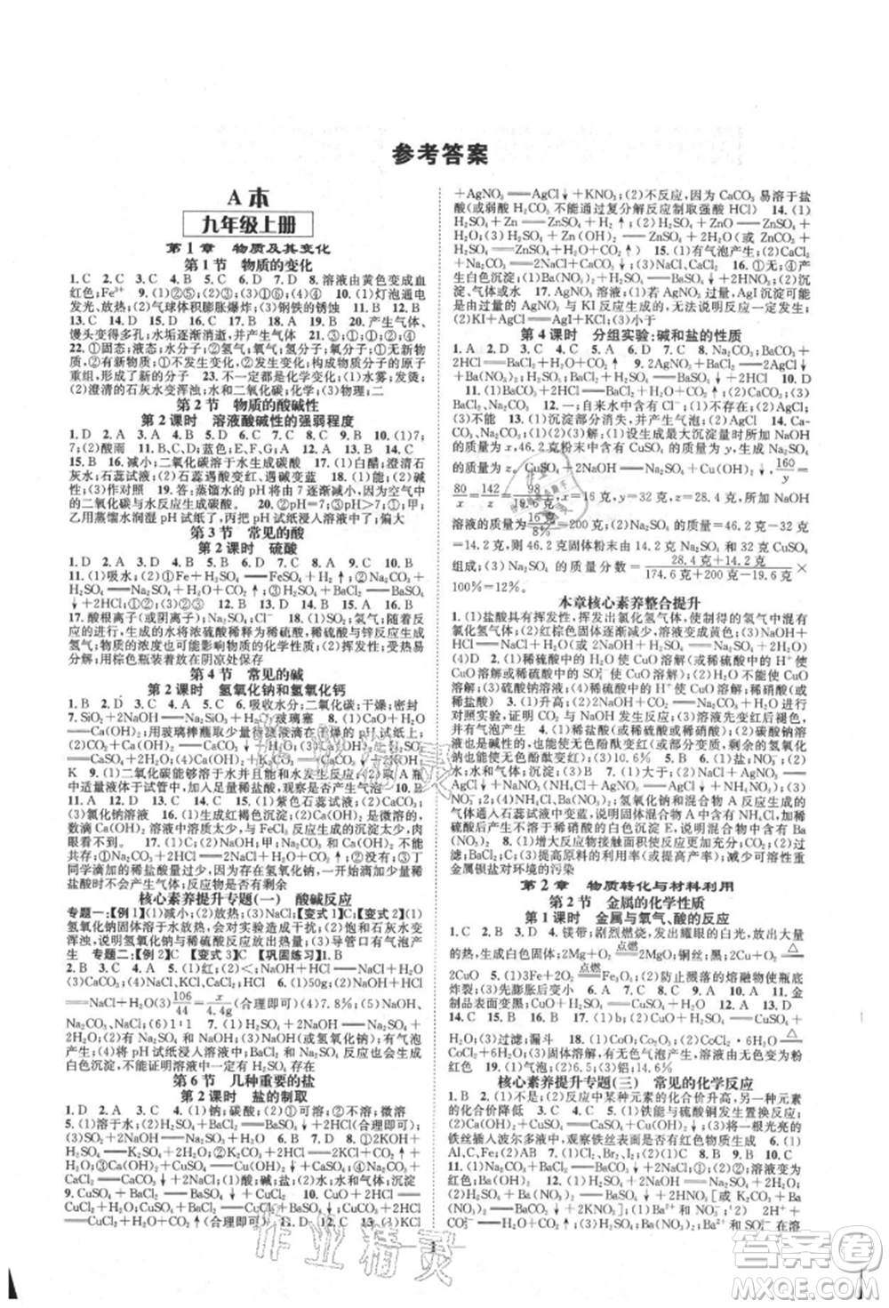 天津科學(xué)技術(shù)出版社2021智慧學(xué)堂核心素養(yǎng)提升法九年級科學(xué)浙教版浙江專版參考答案