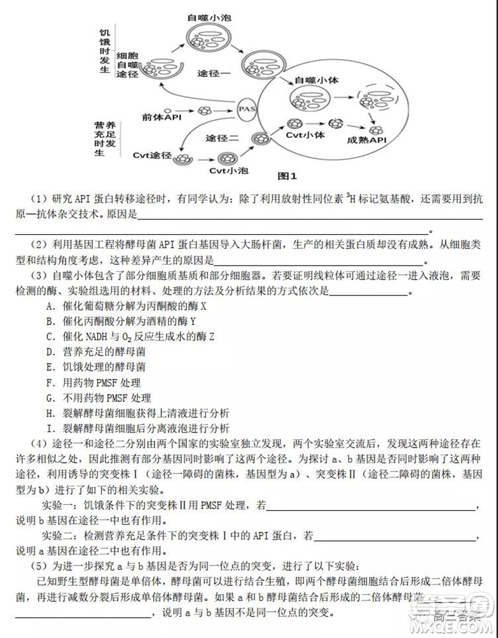 2022屆高三湖北十一校第一次聯(lián)考生物試題及答案