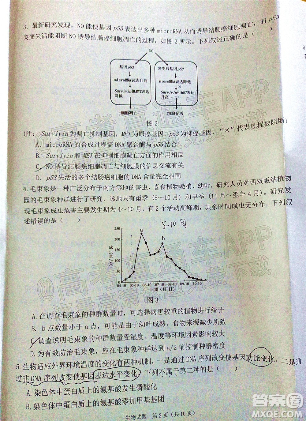 廣東省2022屆高三綜合能力測試二生物試題及答案