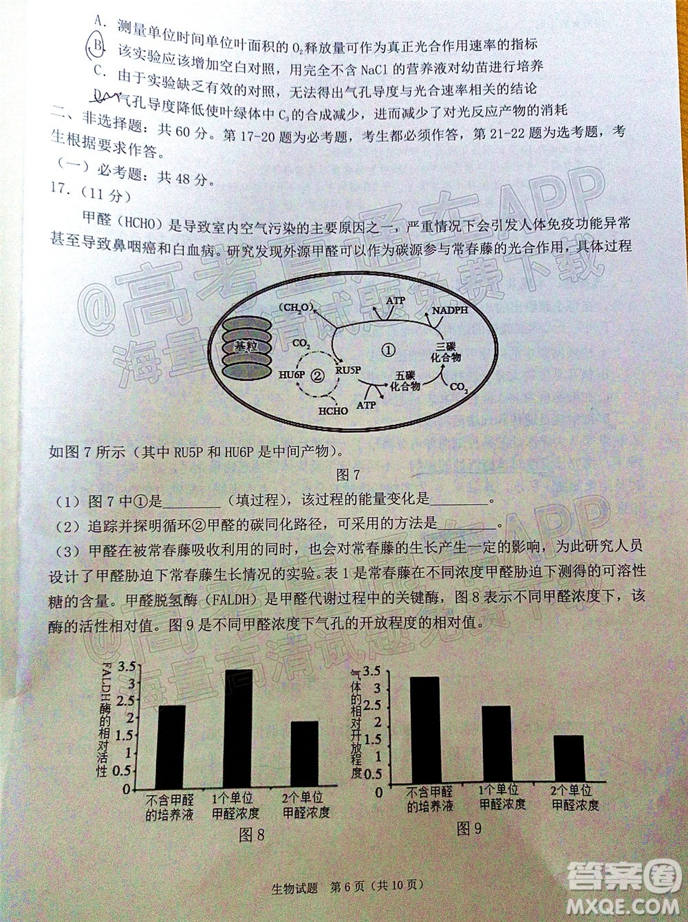 廣東省2022屆高三綜合能力測試二生物試題及答案