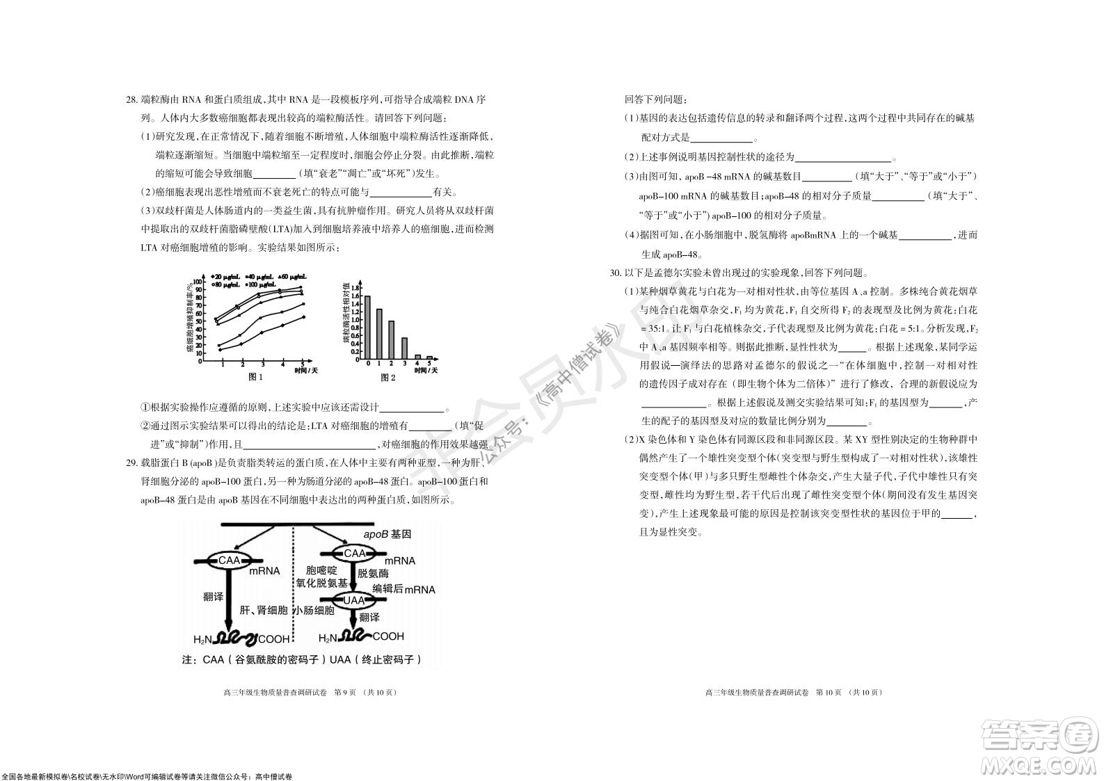 2022屆呼和浩特市高三年級質(zhì)量普查調(diào)研考試生物試題及答案