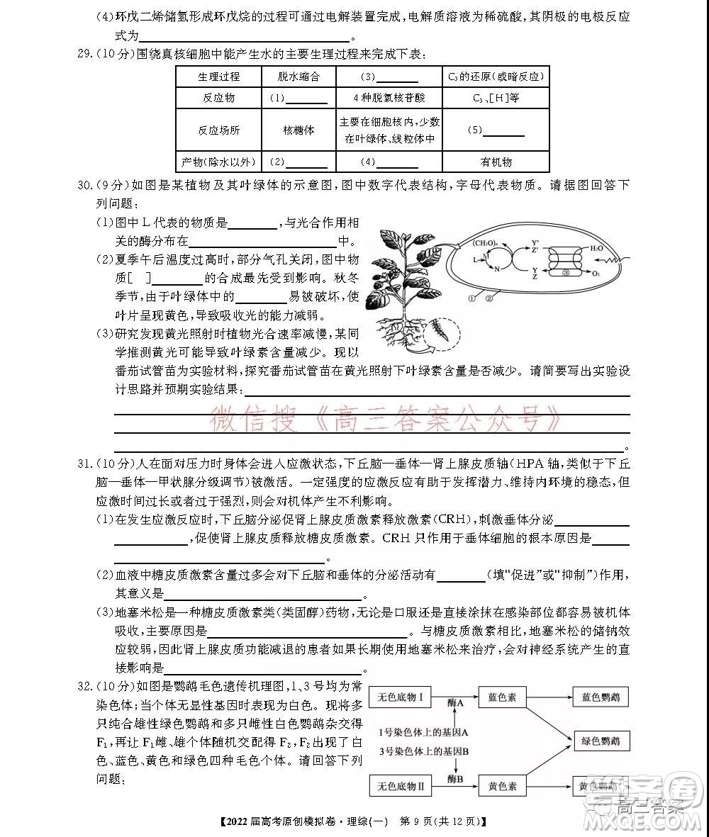 2022屆高考精準備考原創(chuàng)模擬卷一理科綜合試題及答案