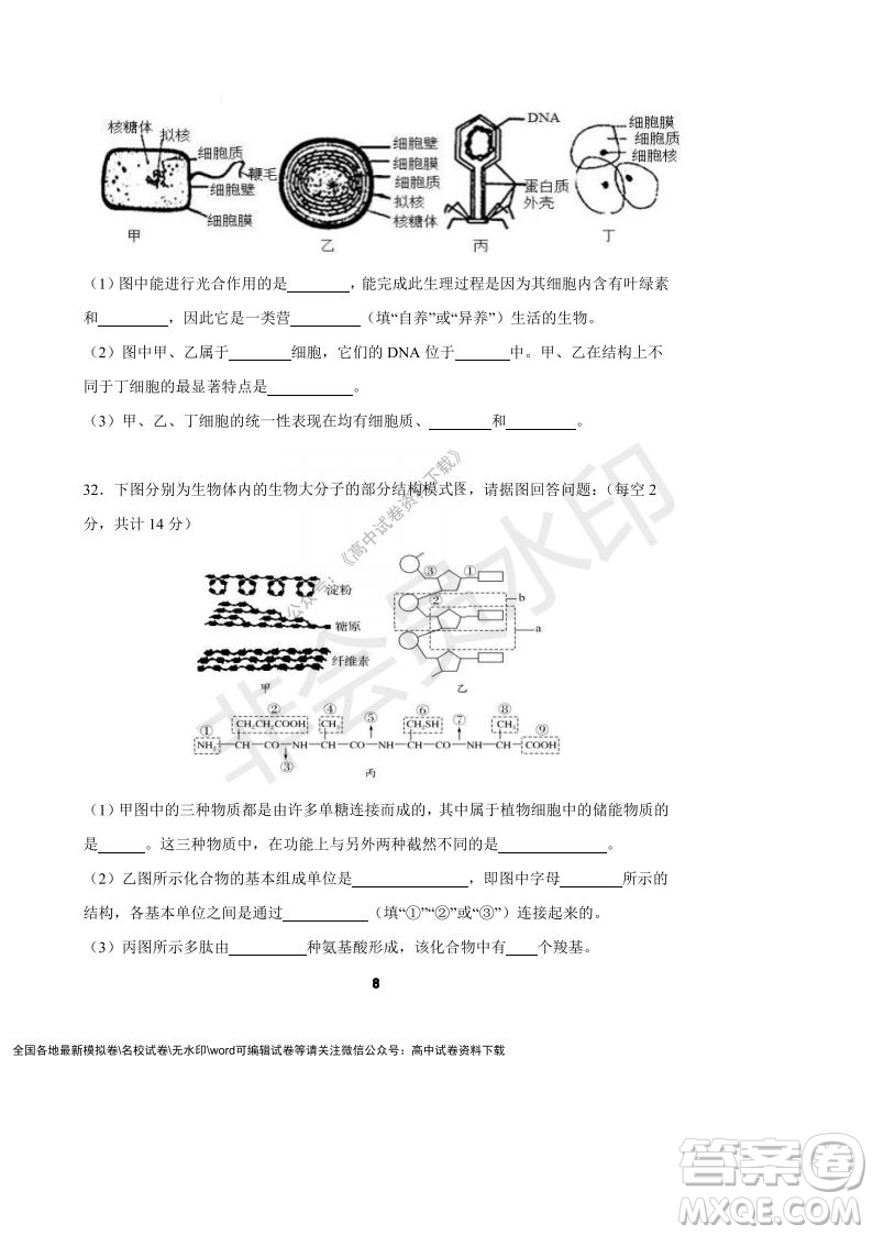 河南省頂級(jí)中學(xué)2021-2022學(xué)年高一上學(xué)期12月聯(lián)考生物試題及答案