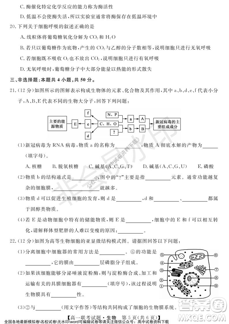 湖南省五市十校2021年12月高一年級聯(lián)考試題生物答案