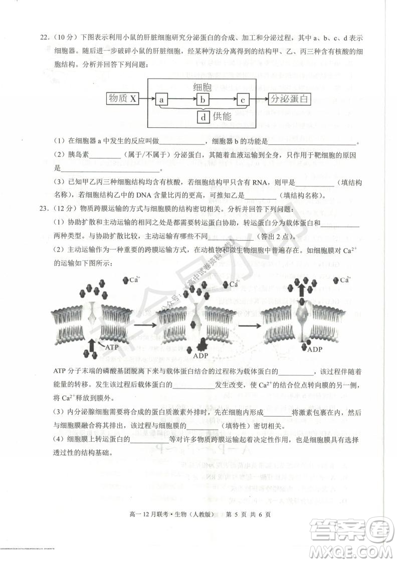 2021年廣西三新學(xué)術(shù)聯(lián)盟高一12月聯(lián)考生物試題及答案