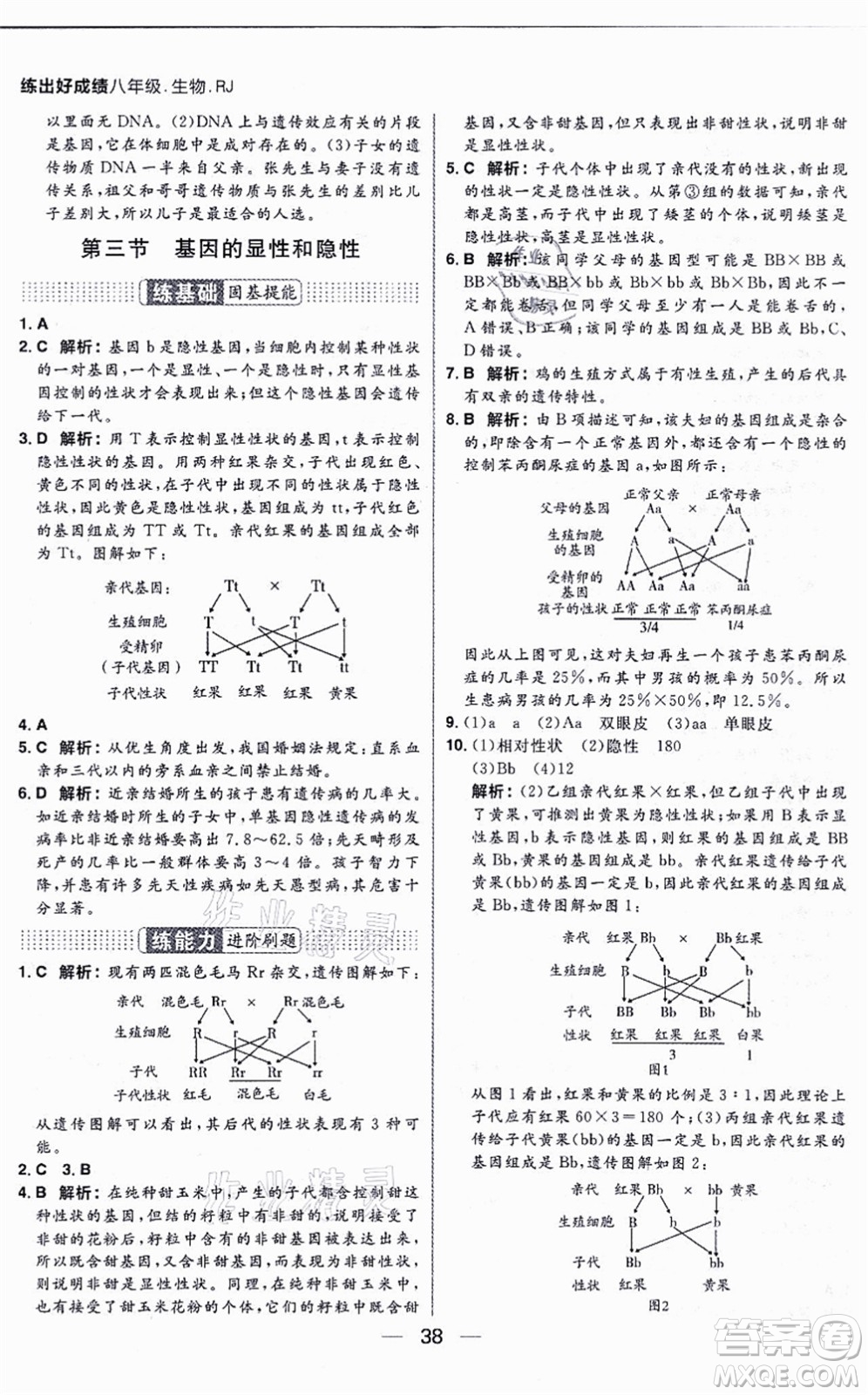 南方出版社2021練出好成績八年級生物上冊RJ人教版答案