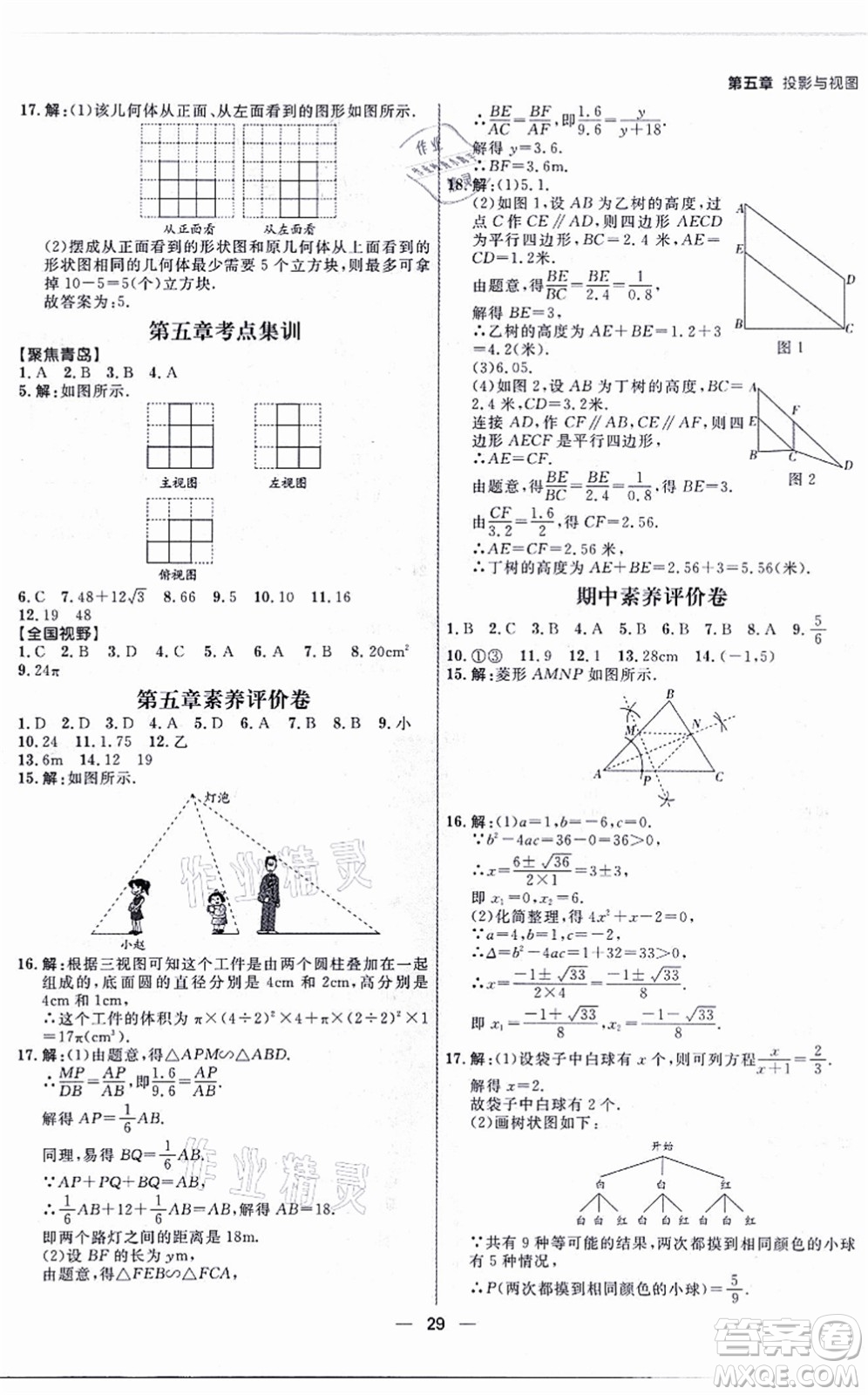 南方出版社2021練出好成績九年級數(shù)學(xué)全一冊北師大版青島專版答案