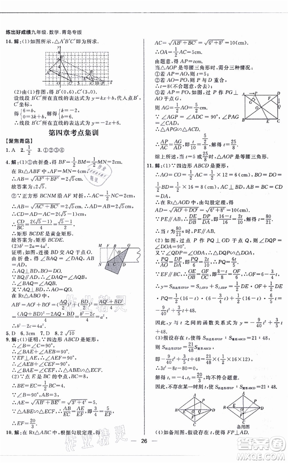 南方出版社2021練出好成績九年級數(shù)學(xué)全一冊北師大版青島專版答案