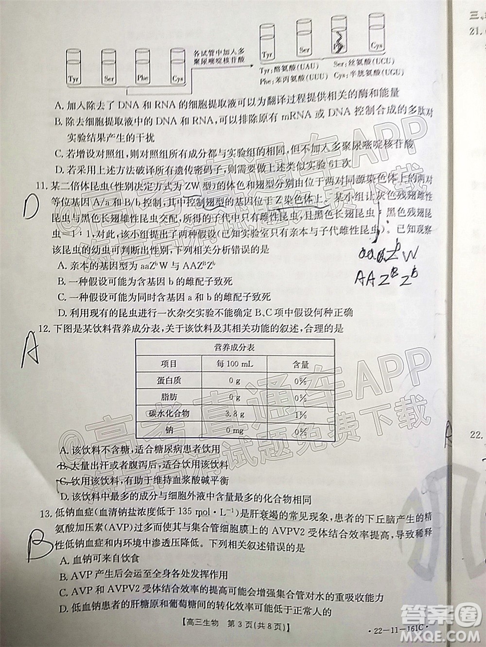 2022屆遼寧金太陽12月聯(lián)考高三生物試題及答案