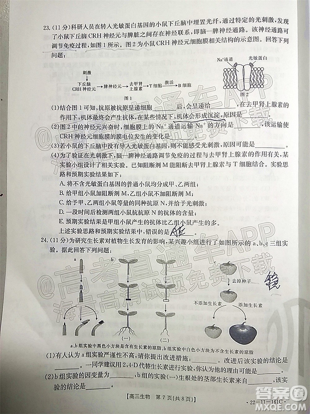 2022屆遼寧金太陽12月聯(lián)考高三生物試題及答案