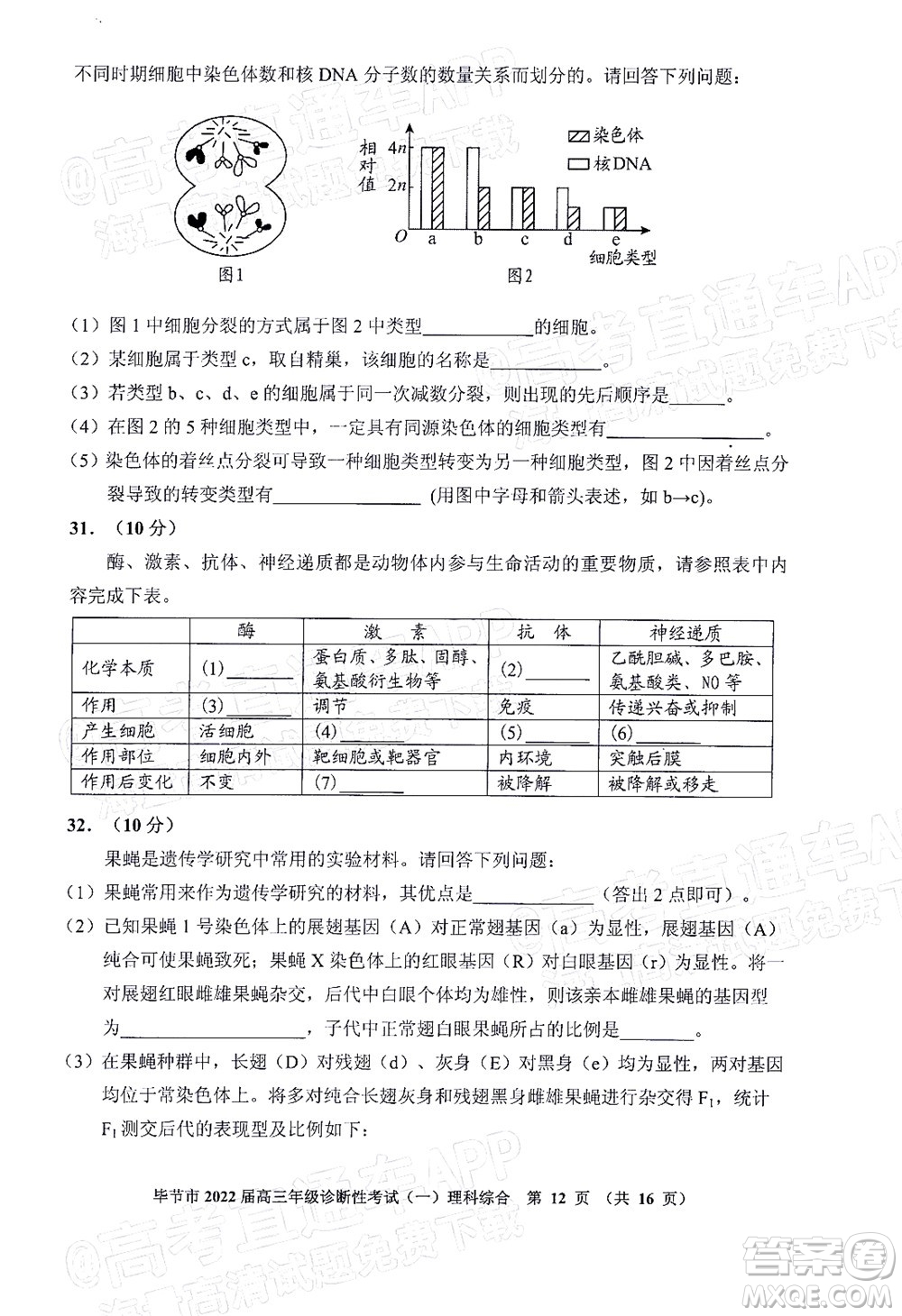 畢節(jié)市2022屆高三年級診斷性考試一理科綜合試題及答案