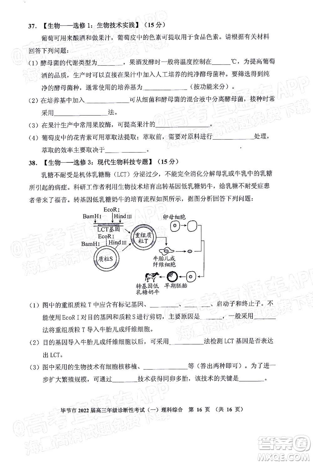 畢節(jié)市2022屆高三年級診斷性考試一理科綜合試題及答案