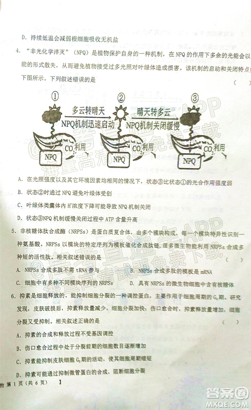 鐵嶺市六校協(xié)作體2021-2022學年度高三四聯(lián)考試生物試卷及答案