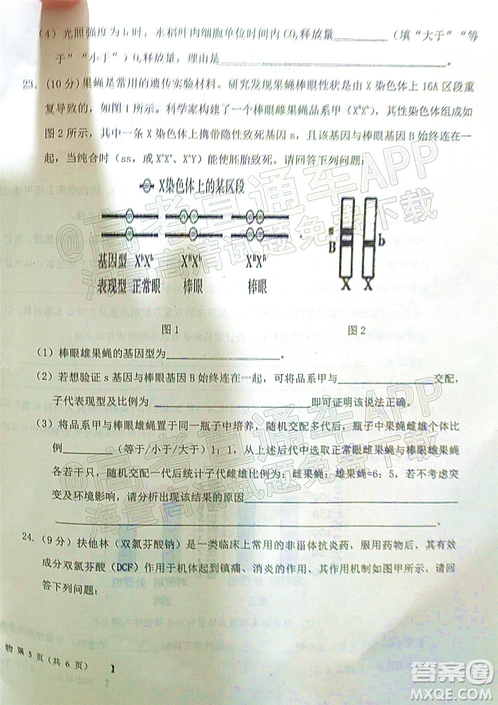 鐵嶺市六校協(xié)作體2021-2022學年度高三四聯(lián)考試生物試卷及答案