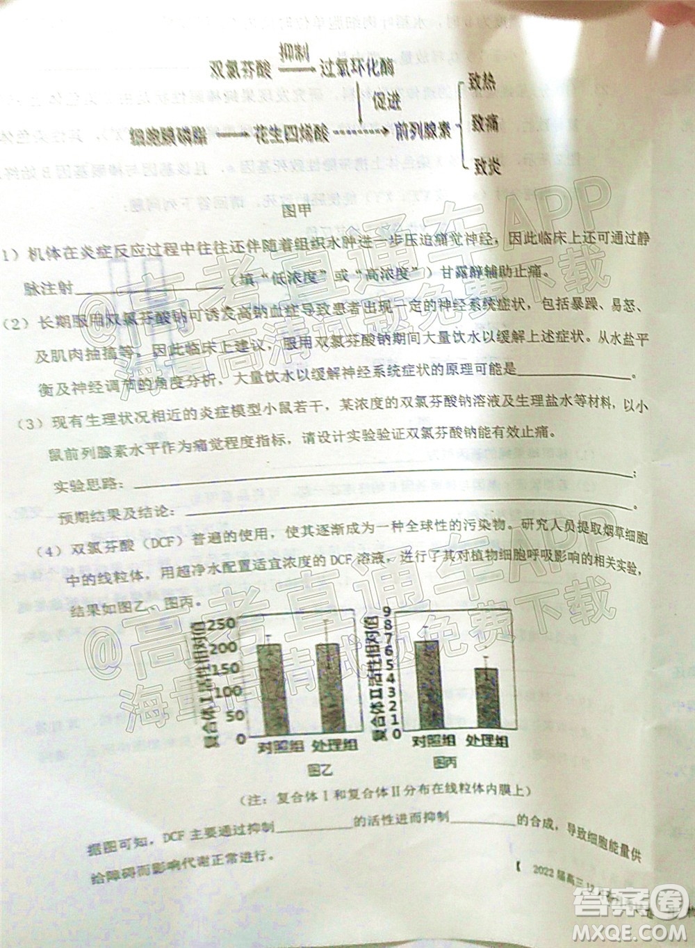 鐵嶺市六校協(xié)作體2021-2022學年度高三四聯(lián)考試生物試卷及答案