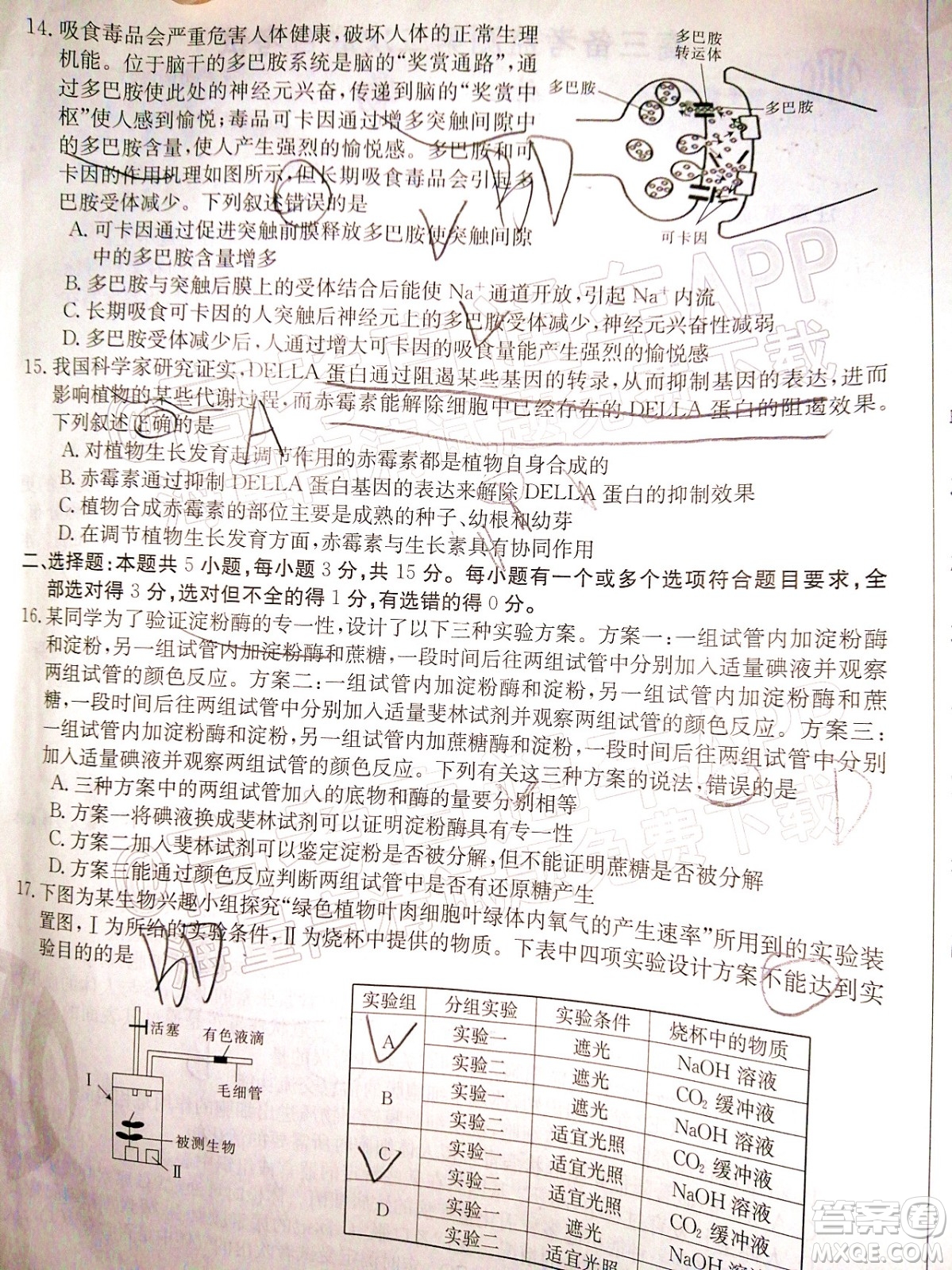 2022屆山東金太陽12月聯(lián)考高三生物試題及答案